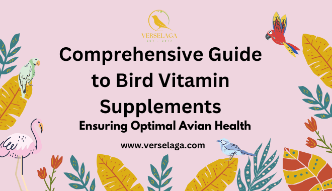 Comprehensive Guide to Bird Vitamin Supplements