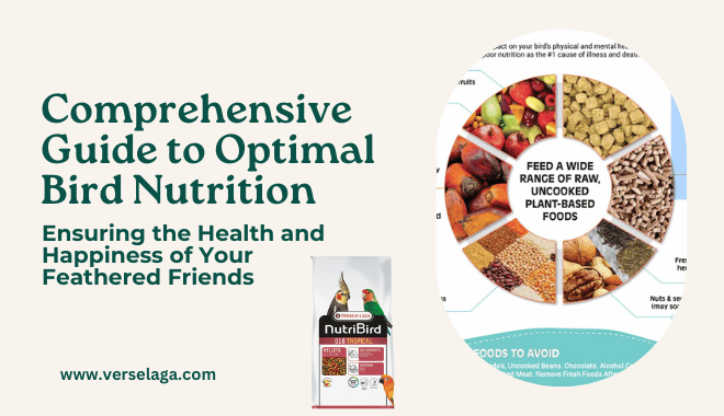 Comprehensive Guide to Optimal Bird Nutrition