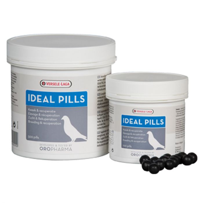 verselaga product